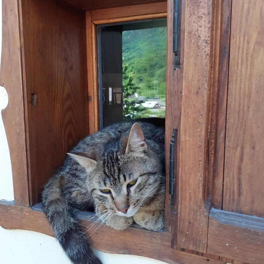 Tana Del Paradiso Baceno Εξωτερικό φωτογραφία